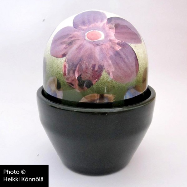 Arabia Heljä Liukko-Sundström Ikikukka Saintpaulia, lila (1990-luku)